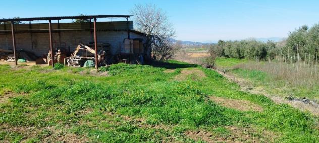Casa singola in vendita a Cupi - Magliano in Toscana 250 mq Rif: 1245233 - Foto 10