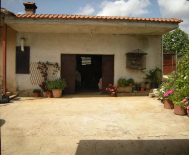 Immobile in asta di 85 m² in vendita a Velletri - Foto 3