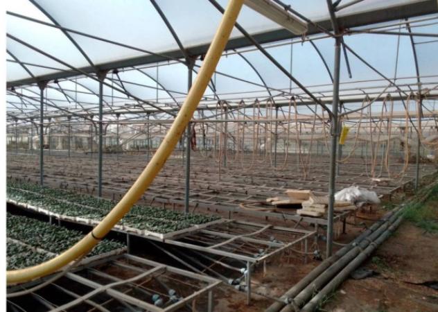 Immobile in asta di 5567 m² in vendita a Sabaudia - Foto 8