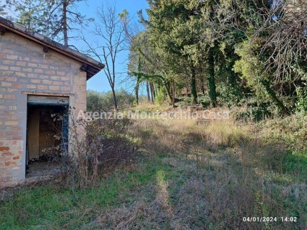 CASA COLONICA CON RICOVERO ATTREZZI, SILOS, TERRENO AGRICOLO E BOSCO - Foto 7