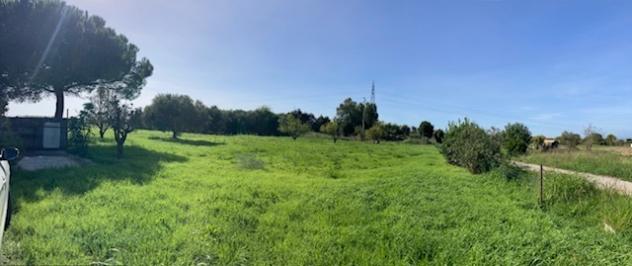 Seminativo in vendita a Pisa - Foto 4