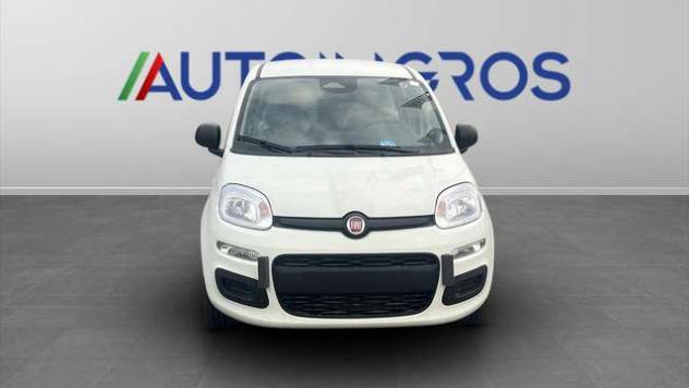 FIAT Panda 1.0 FireFly Hybrid Icon - Foto 8