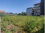 Agricolo in affitto a Aci Catena