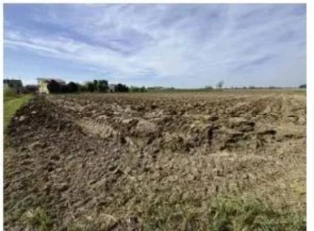 Immobile in asta di 5923 m² in vendita a Nogara - Foto 5
