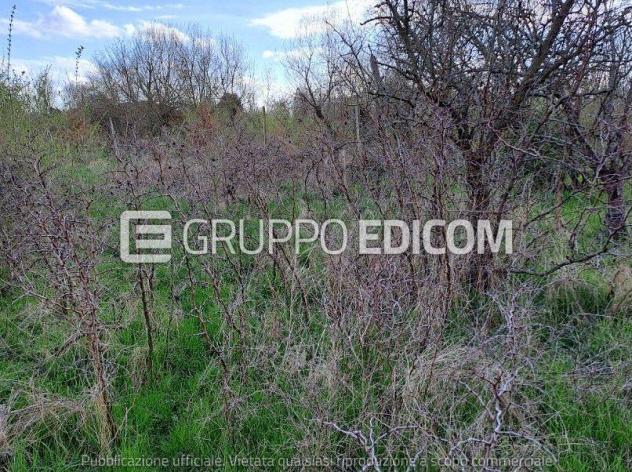 Terreno di 9550 mq in vendita a Riese Pio X - Rif. 4554416 - Foto 2