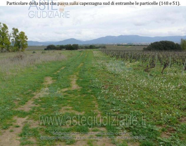 IMMOBILI-ALTRA CATEGORIA-SERDIANA - Foto 5