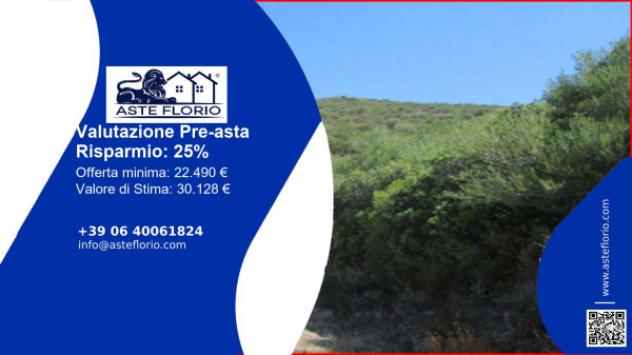Immobile in asta di 20085 m² in vendita a Viddalba