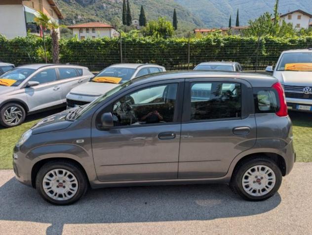 FIAT Panda 1.2 Easy rif. 24013768 - Foto 2