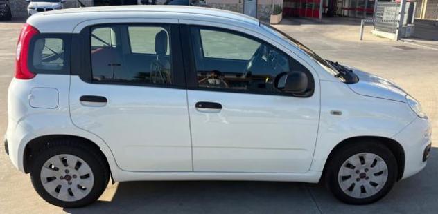 FIAT Panda 1.2 Pop rif. 24145180 - Foto 6