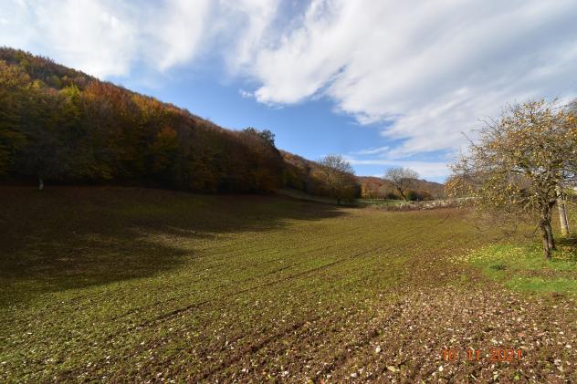 Casa di campagna in Contrada Tardiano - Foto 3