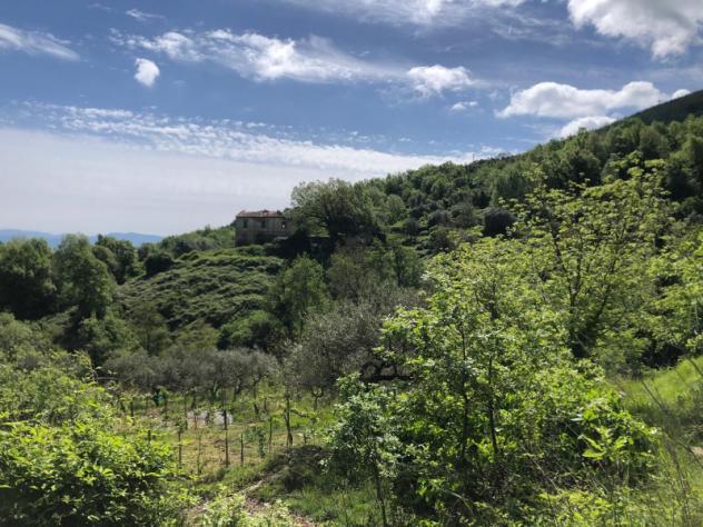Agricolo di 95000mq - Foto 13