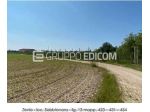 Fabbricati per attività agricole in vendita a Zevio - Rif. 4561810