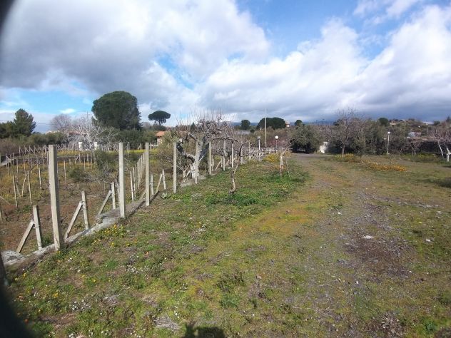 CODICE 6930 VILLA SINGOLA 260 MQ CON 4.870 MQ DI TERRENO A BELPASSO - Foto 3