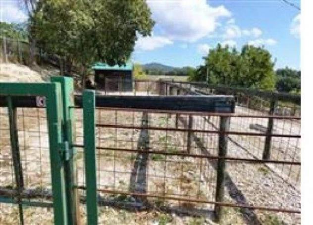 Immobile in asta di 844 m² in vendita a Montefelcino - Foto 9