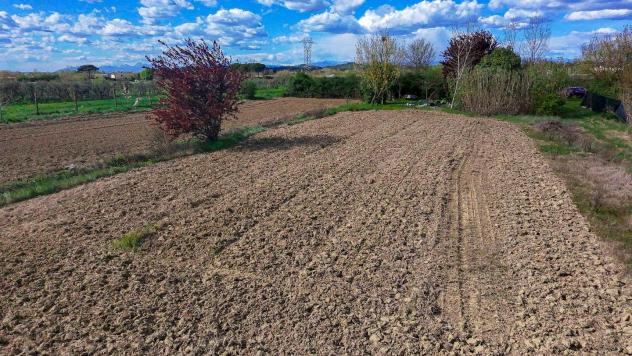 Terreno agricolo in vendita a San Miniato 10790 mq Rif: 1400261 - Foto 5