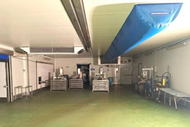 Immobile in asta di 7190 m² in vendita a Alta Val Tidone - Foto 14