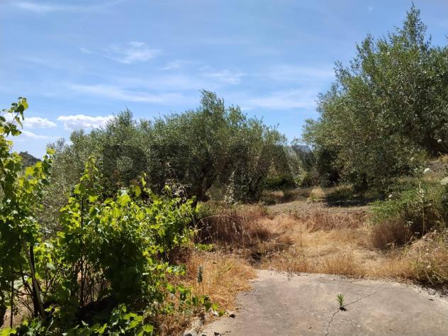 Villa o villino in vendita a Piazza Armerina - Foto 8