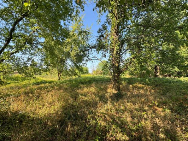 Terreno di 4200 m² in vendita a Desio - Foto 17