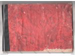 CORSO DI STENOGRAFIA N° 28 AL 48 SECONDA PARTE -