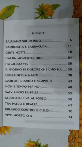 piccola raccolta di canzoni - LIGABUE - Foto 3