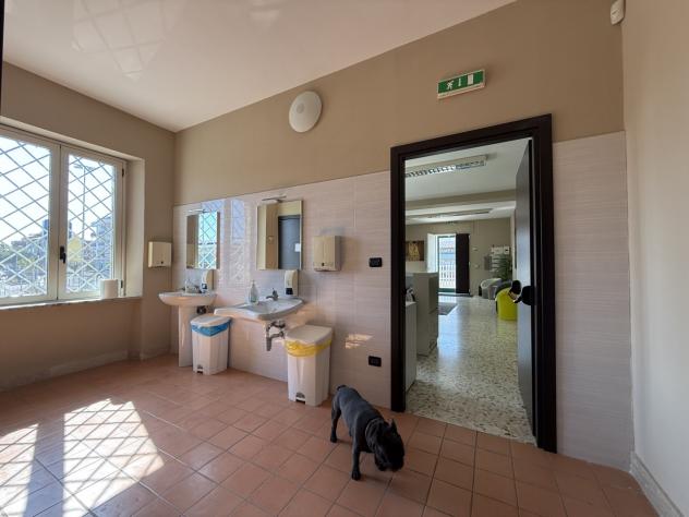 Oltre 3 vetrine in vendita a Catanzaro - Foto 5
