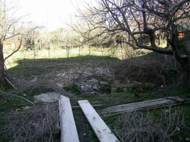 Immobile in asta di 4300 m² in vendita a Cerchiara di Calabria - Foto 4