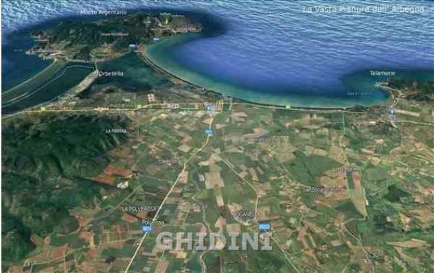 TERRENO AGRICOLO di 1 vani e di 80000 mq (ORBETELLO - ALBINIA) rif. 2375.272M - Foto 5