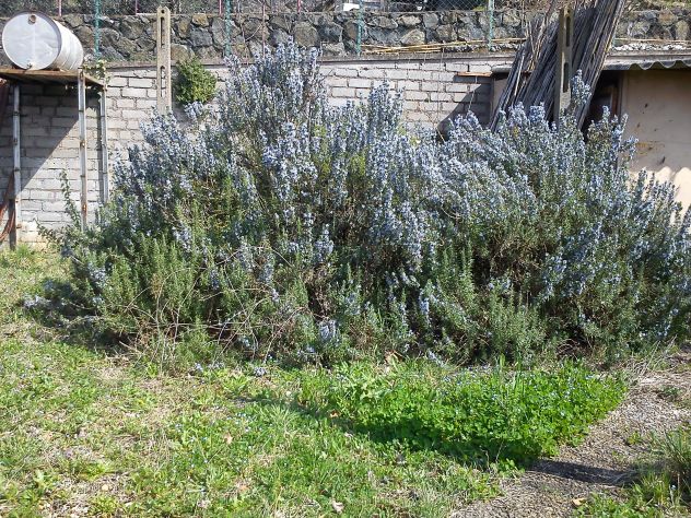 VALLE MARTELLA | Lotti di terreno edificabili - Foto 2