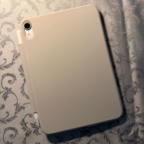 iPad mini 7 (2024) 128GB Wi-Fi + Cellular + Apple Pencil Pro | Grigio Siderale - Foto 6