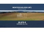 Immobile in asta di 46370 m² in vendita a Montescaglioso