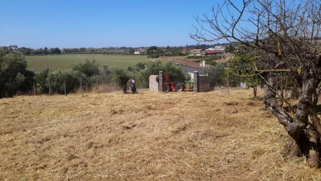 TERRENO AGRICOLO di 1300 mq (POMEZIA) rif. C/305 - Foto 13
