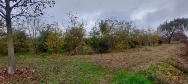 Immobile in asta di 64986 m² in vendita a San Donà di Piave - Foto 3