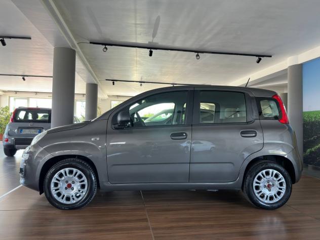 Fiat Panda 1.0 FireFly S&S Hybrid Easy - Foto 2