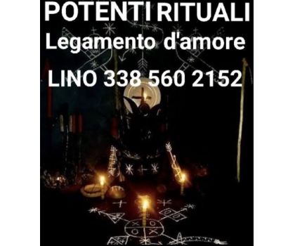 SACERDOTE RITUALISTA IFA - Foto 5