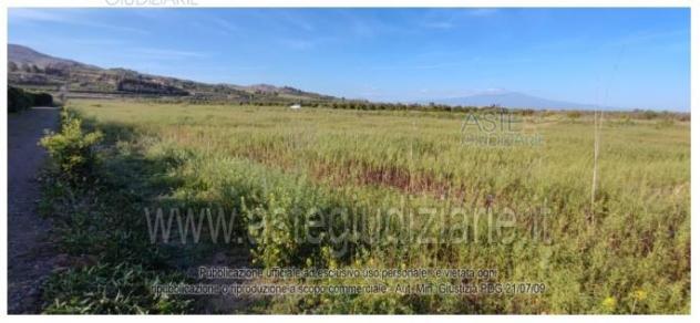 IMMOBILI-ALTRA CATEGORIA-Via Laguna, 95046 Palagonia CT, Italia - Foto 7