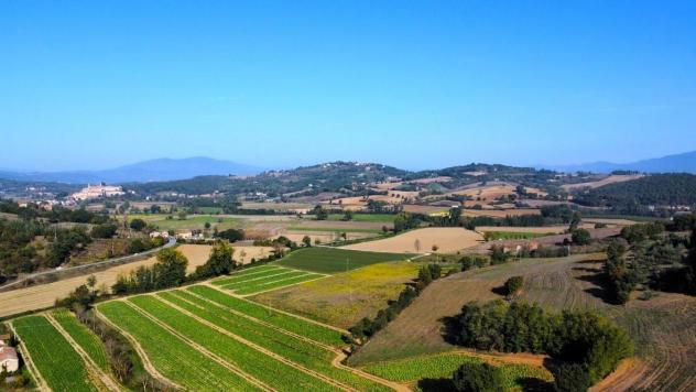 Casale in vendita a Lippiano - Monte Santa Maria Tiberina 476 mq Rif: 668437 - Foto 10