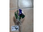 Assagiatore di vino