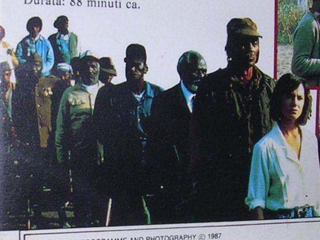TUTTI COLPEVOLI - Foto 10