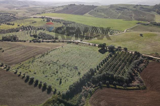 Terreno in vendita a Paternò - Foto 9