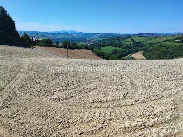 Terreno agricolo, bosco e capanno - Foto 7