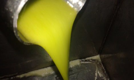 VENDO OLIO EXTRA VERGINE DI OLIVA DI QUALITA' - Foto 7