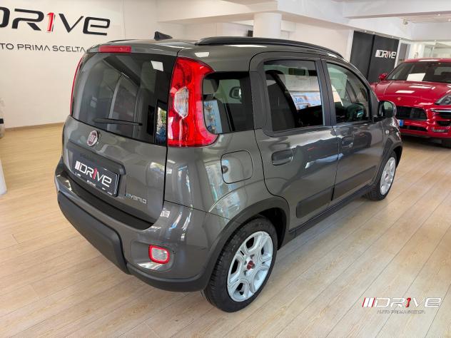 FIAT Panda 3ª serie Panda 1.0 FireFly S&S Hybrid - Foto 4