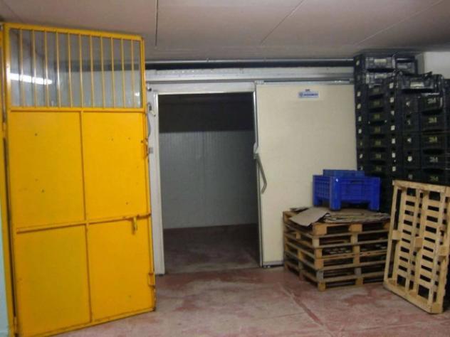 Immobile in asta di 135 m² in vendita a Pergola - Foto 13
