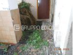 Abitazione di tipo popolare di 223 mq  in vendita a Pietradefusi - Rif. 4559342