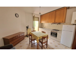 Appartamento in affitto a Campo - San Giuliano Terme 60 mq  Rif: 1417874