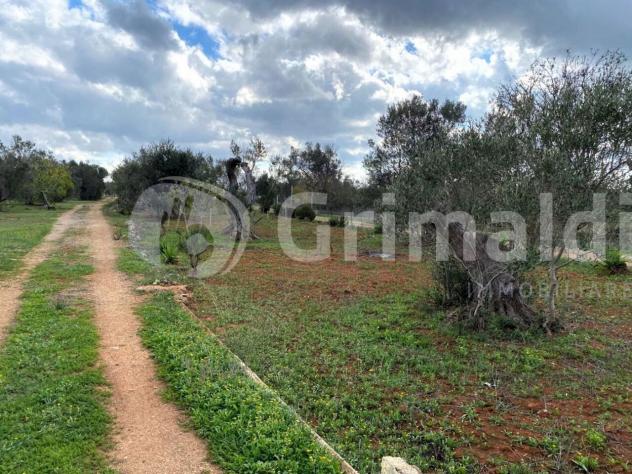 Terreno edificabile in vendita a Sannicola - Foto 3