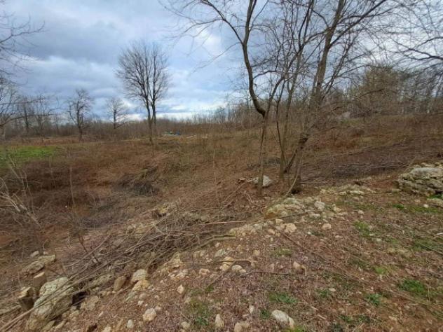Immobile in asta di 250 m² in vendita a Crocetta del Montello - Foto 11