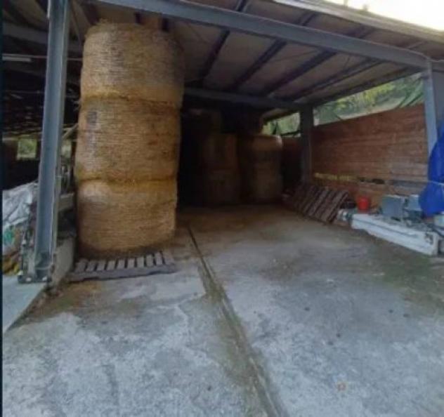 Immobile in asta di 1005 m² in vendita a Palanzano - Foto 6
