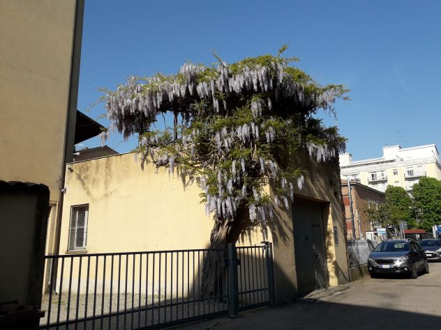 trilocale servitissimo a Ravenna