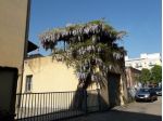 trilocale servitissimo a Ravenna